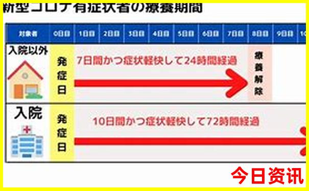 重庆市区有什么好玩的地方